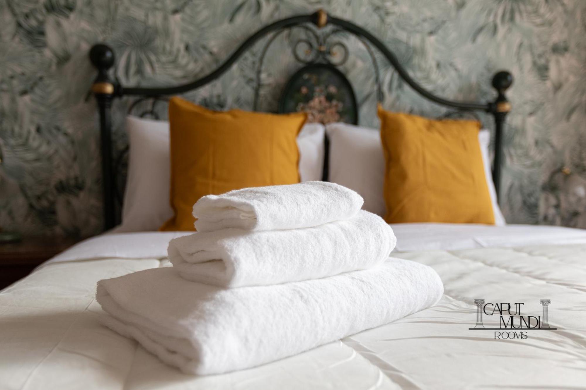 Caput Mundi Rooms - 100Mt To Metro A, Terrace, A-C, 15 Min To Center Rome Buitenkant foto